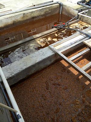 長沙湘麓環(huán)?？萍加邢薰?長沙湘麓臭氧機,長沙食品廠臭氧消毒機,長沙臭氧發(fā)生器,污水處理臭氧設備
